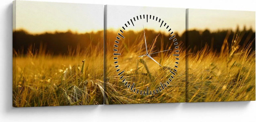 Harmatos fű képe (órával) (90x30 cm)