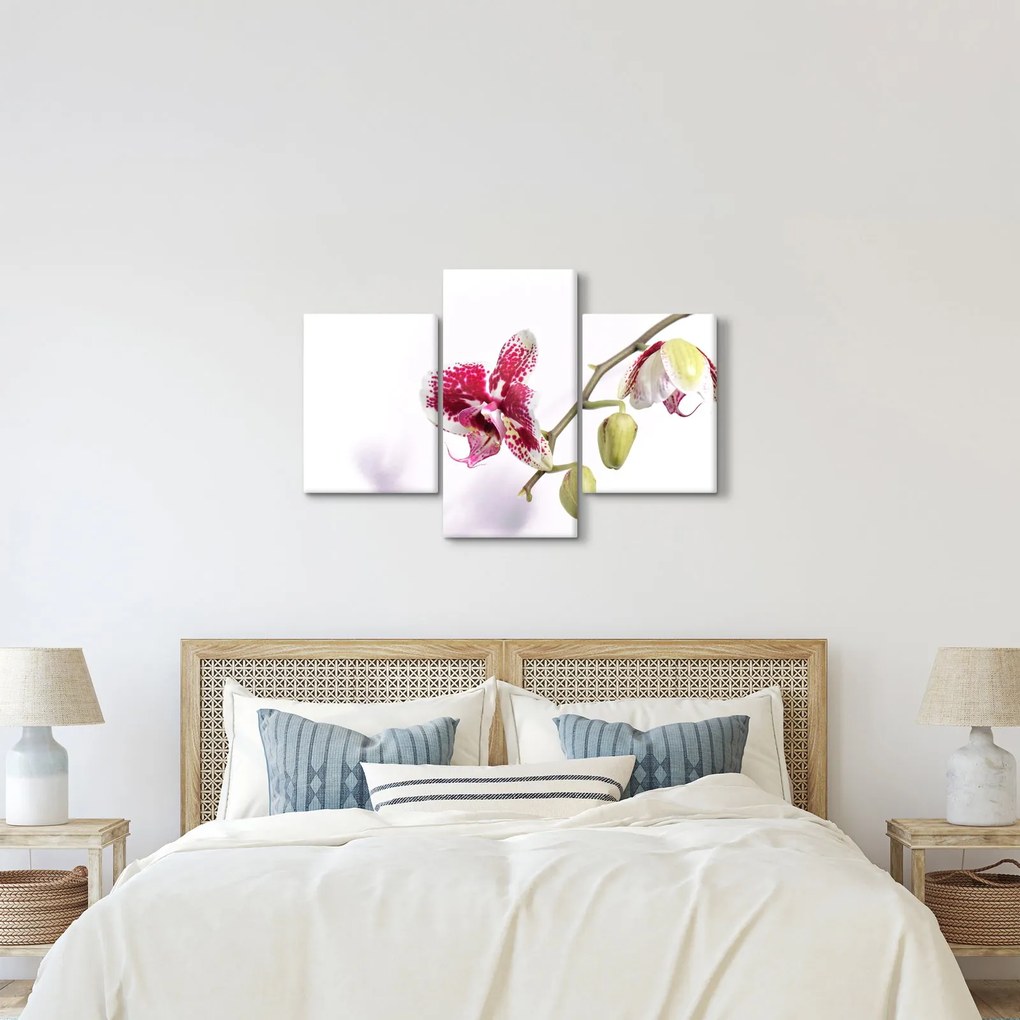 Orchidea virág képe (90x60 cm)