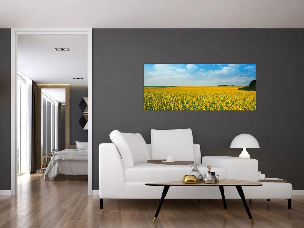 Kép - napraforgó (120x50 cm)