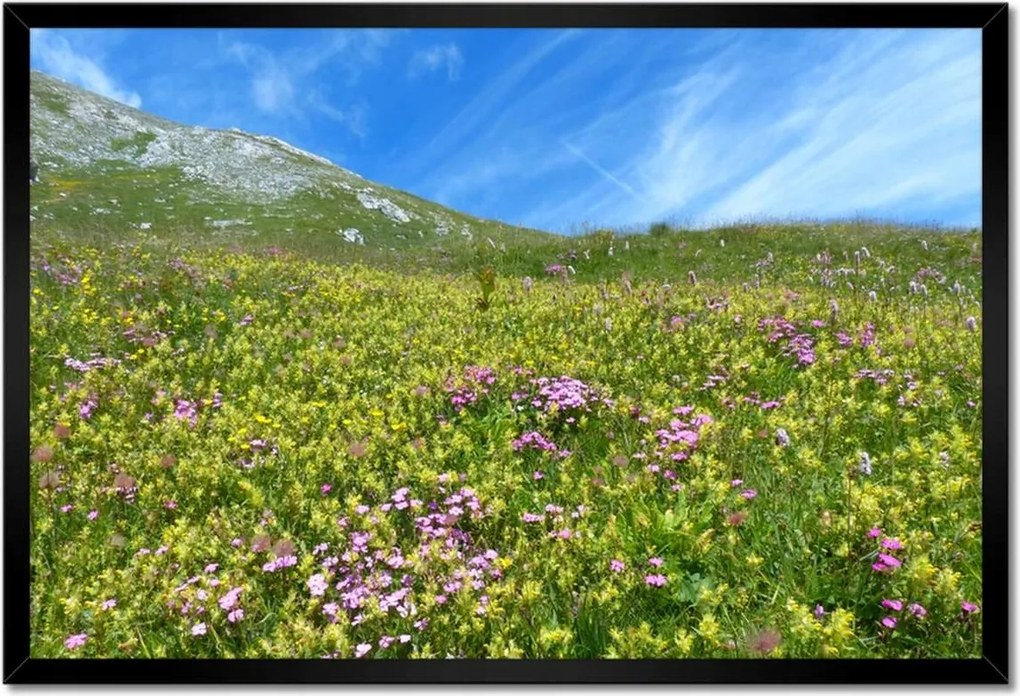 Poszterek keretben 60x40 Alpesi rét