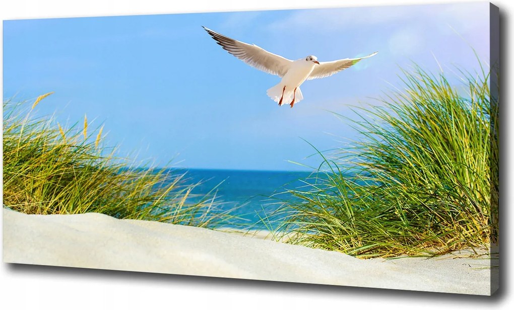Vászonkép Sirály a tengerparton 100x70 cm