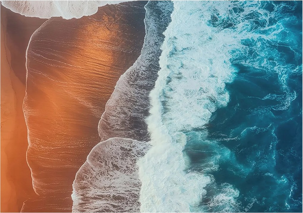 Flizelina Dekoratív Hálószoba Fotótapéta Tengeri szimbiózis 312x219 Ragasztó