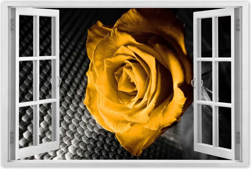 Poszter 60x40 Sárga rózsa