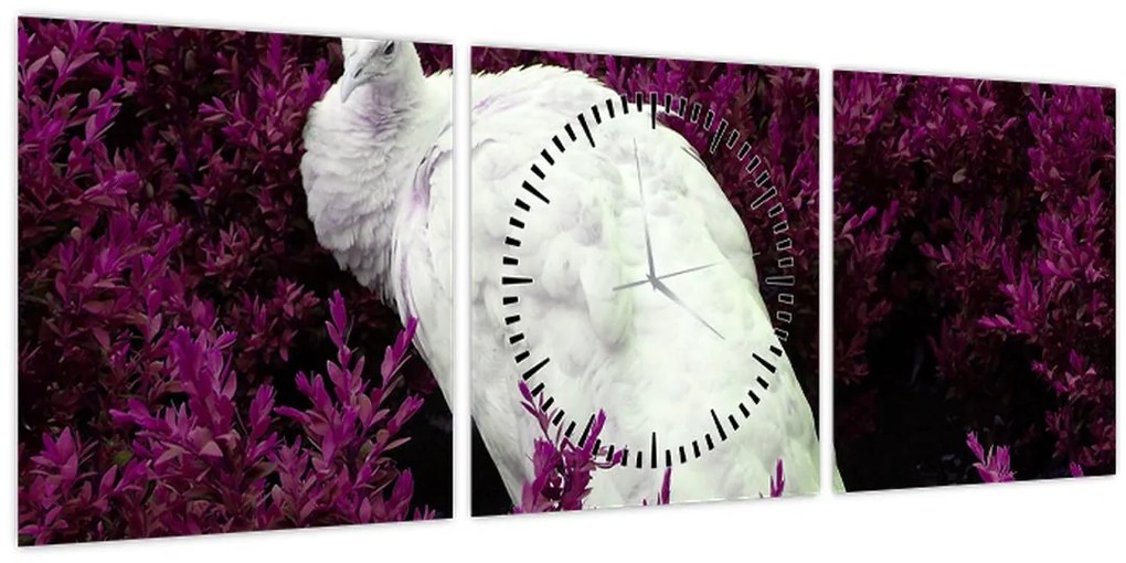 Kép - Fehér páva (órával) (90x30 cm)
