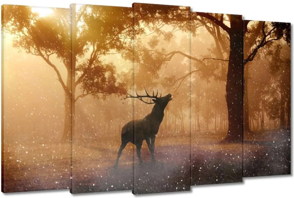 Képek 150x95 Szarvas az erdőben