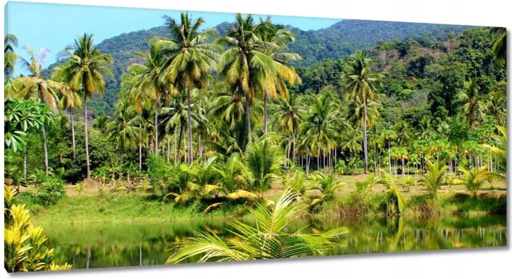 Vászonkép 115x55 Gyönyörű amazon