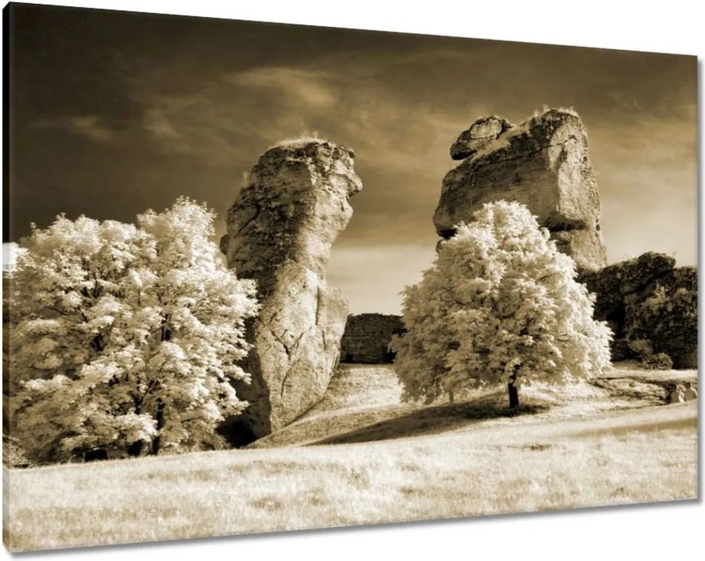 Vászonkép 100x70 Kastélykert