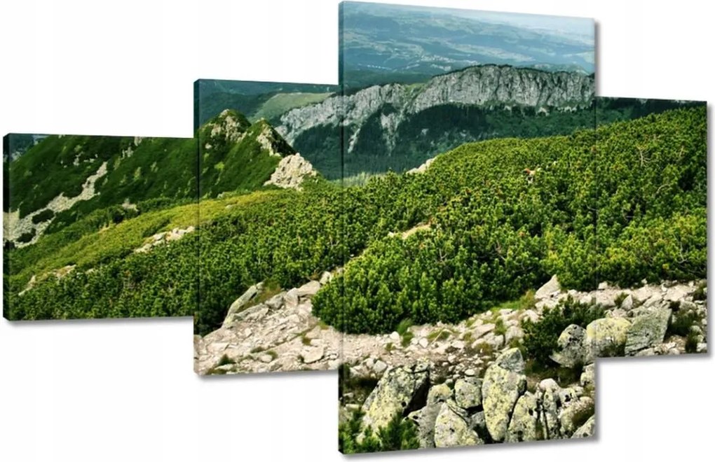 Képek 130x80 Tátra Lengyel hegyek Kilátás