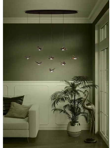 Eglo 390055 - LED Dimmelhető csillár zsinóron PARATEBUENO 8xLED/4,2W/230V fekete