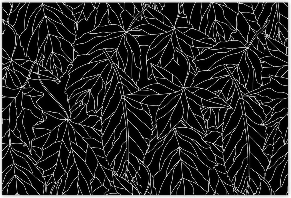 Poszterek 185x125 Leveles absztrakt