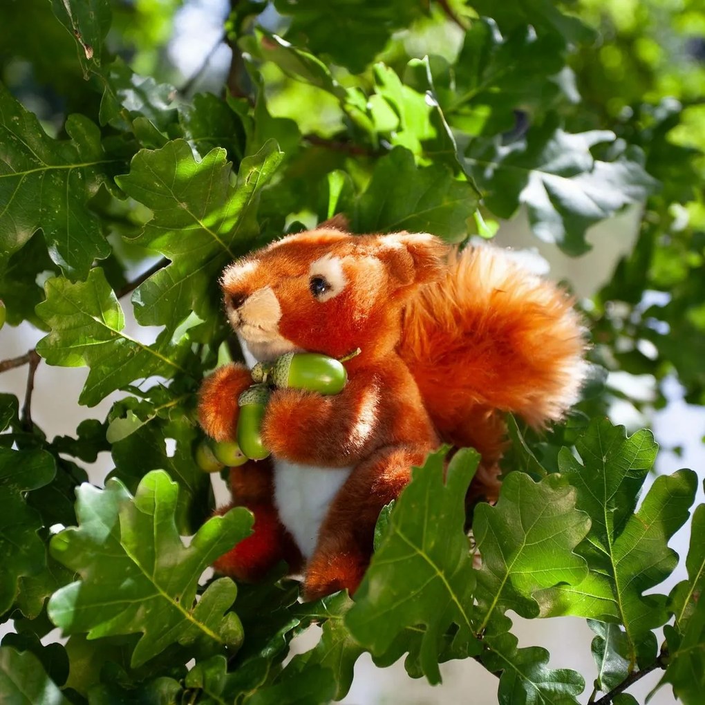 Rappa plüss mókus 18 cm ECO-FRIENDLY