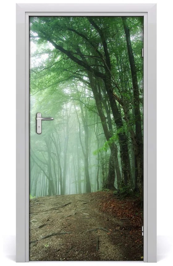 Ajtó tapéta Köd az erdőben 85x205 cm