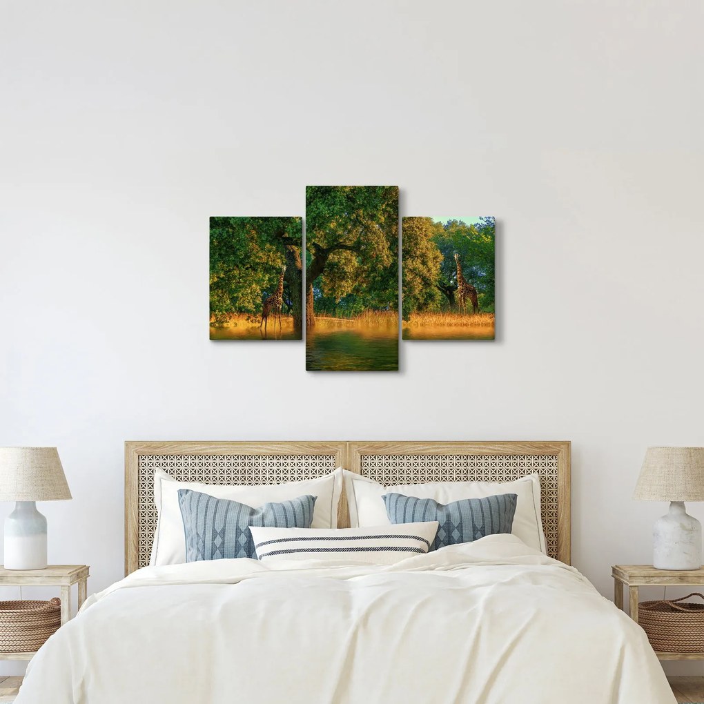 Zsiráf a természetben képe (90x60 cm)