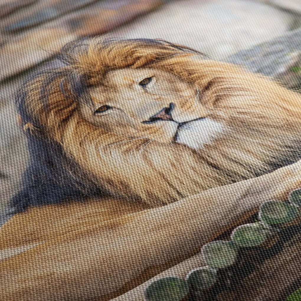 Oroszlán képe (90x60 cm)