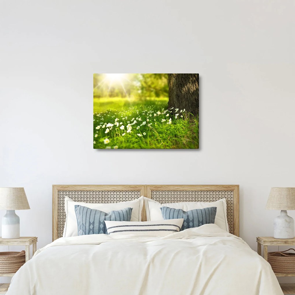 Tisztás és a virágok képe (70x50 cm)