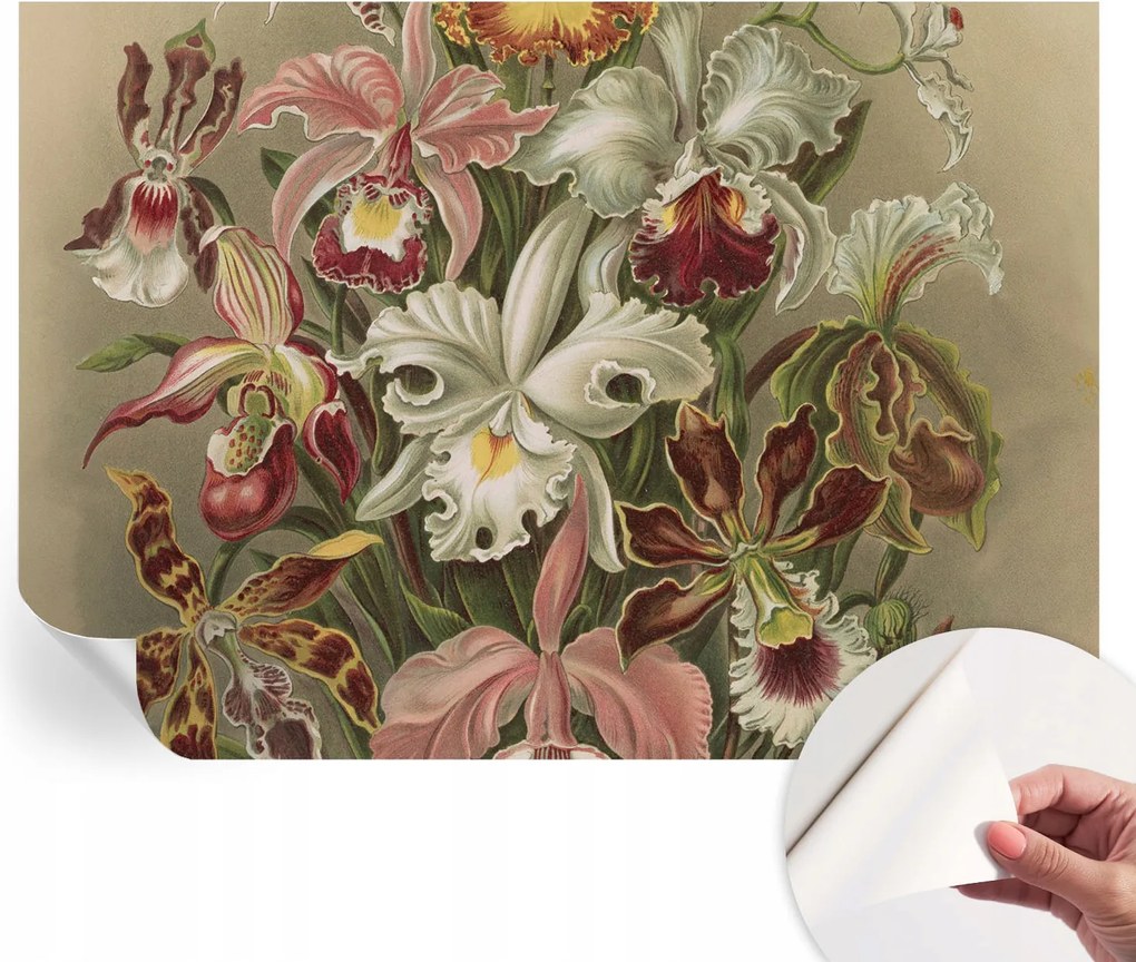 Dekoratív Öntapadós Tapéta Divatos Minták Virágos elegancia 208x146 cm