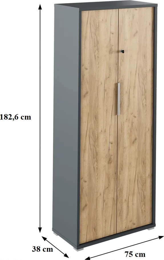 Szekrény zárral, grafit/tölgyfa artisan, RIOMA NEW TYP 31