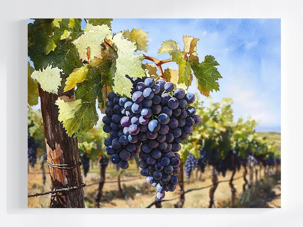 Vászonkép Canvas Szőlő Ősz Tájkép 80x60