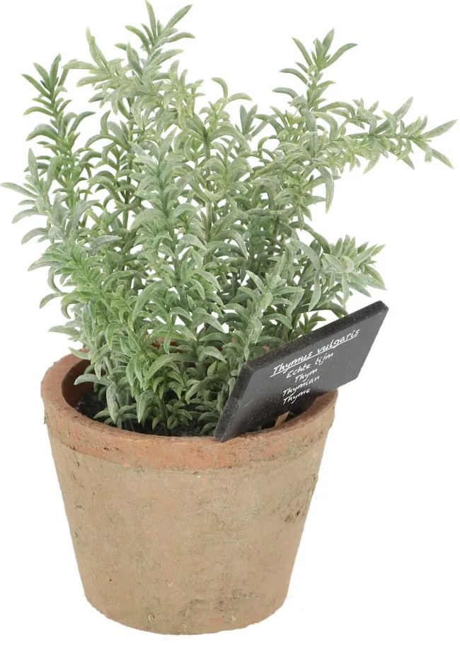 Műnövény (magasság 21,5 cm) Thyme – Esschert Design