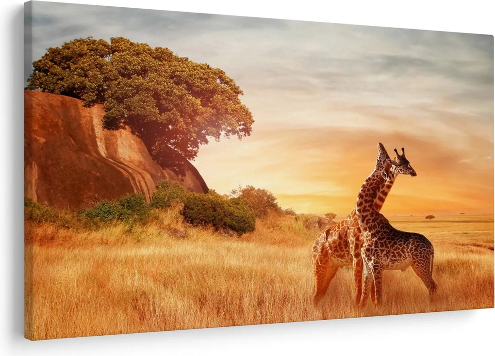 Kép - Zsiráfok Afrikában (90x60 cm)