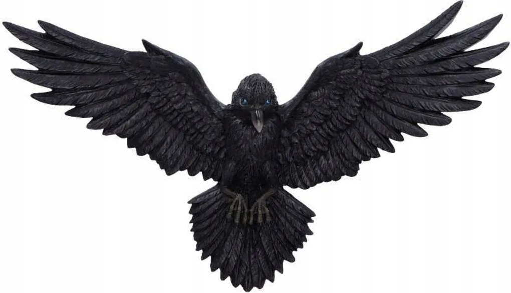 Kruk Holló Repülése Fali Dekoráció a Nemesis NOW-tól, Angliából
