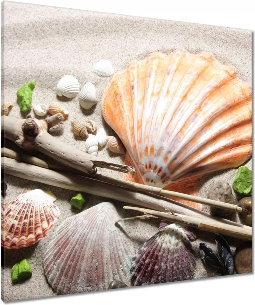 Vászonkép 80x80 Kagylók a balti tengerpartról