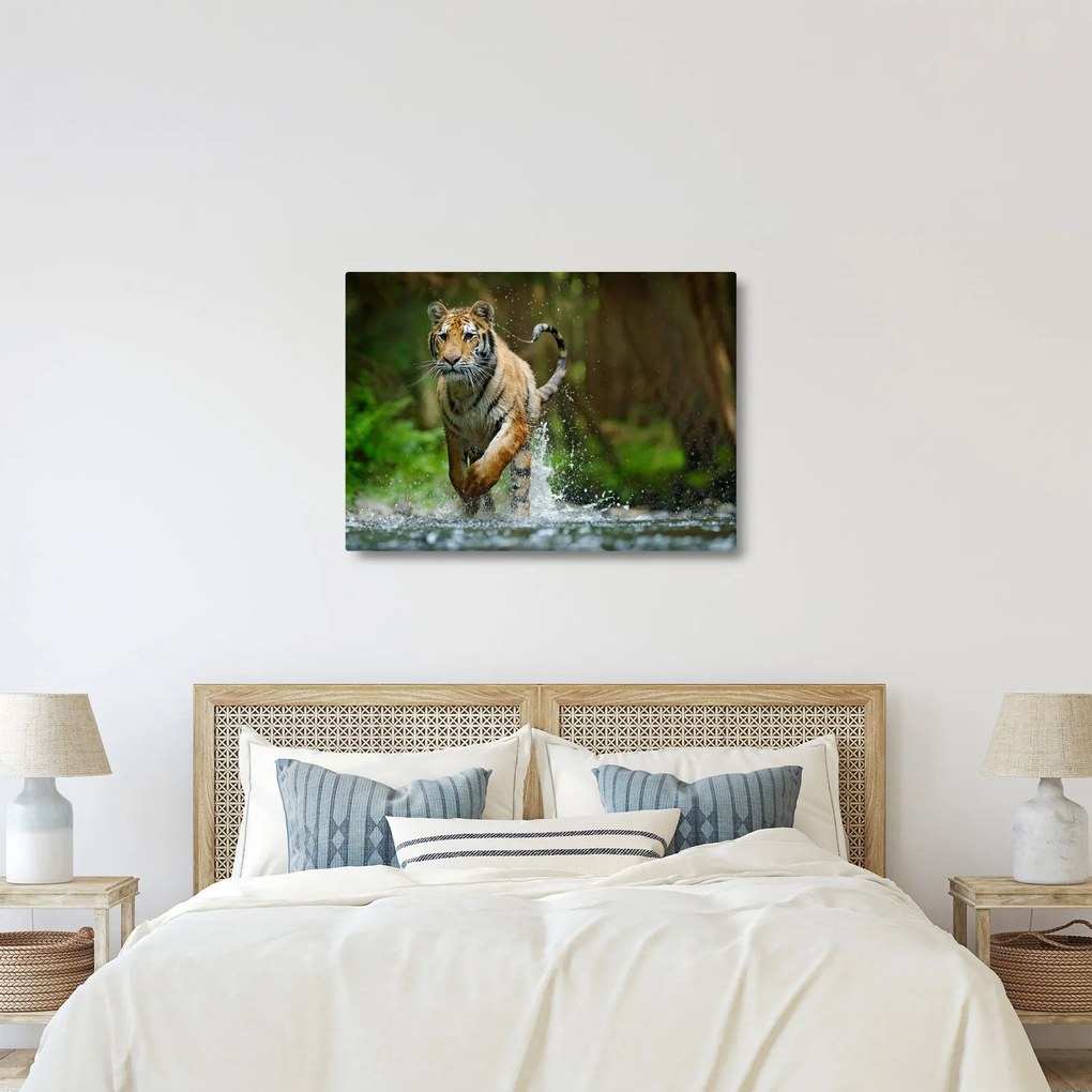 Futó tigris képe (70x50 cm)