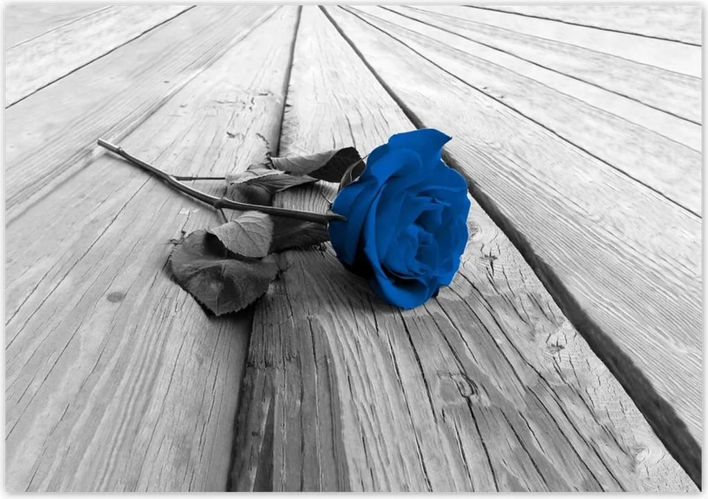 Poszterek 100x70 Kék rózsa a deszkákon