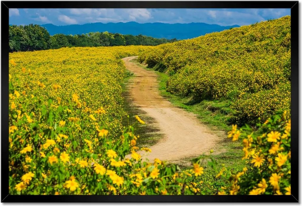 Poszterek keretben 60x40 Falusi tejút