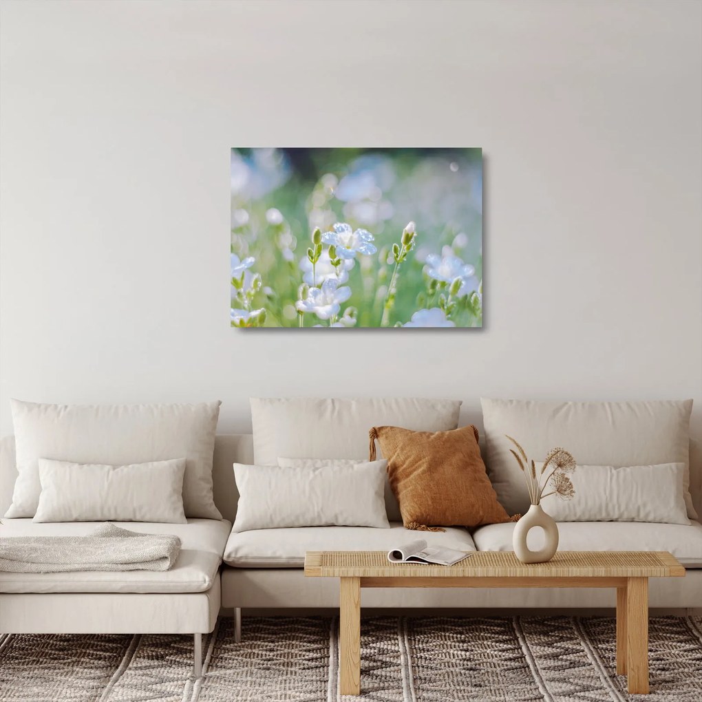 Üveg kép - Finom virágok (70x50 cm)