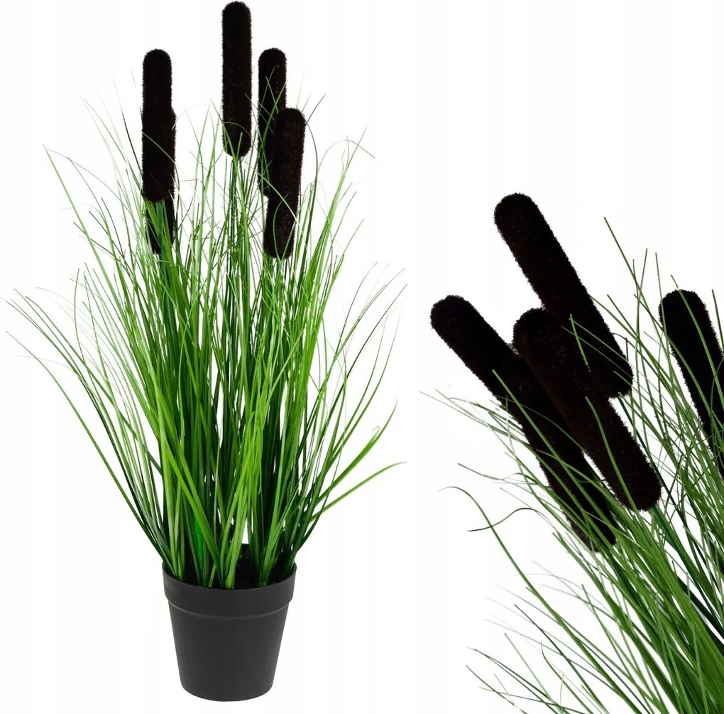 Fű a cserépben Dekoratív tatár Műnövény Nád Vízi Fejka