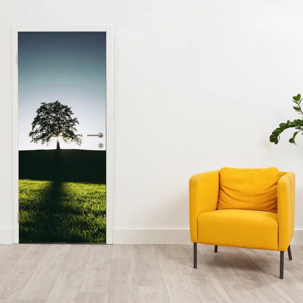 Fotótapéta ajtóra - Fa (95x205cm)