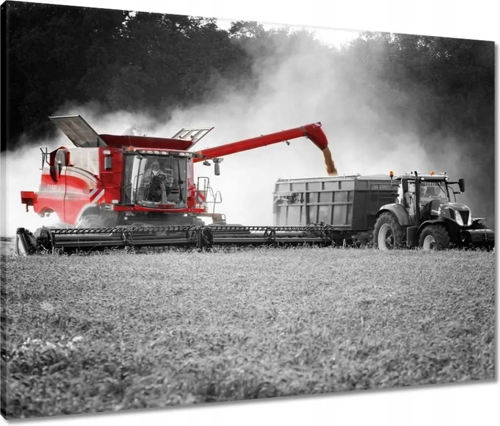 Vászonkép 80x60 Piros kombájn Aratás