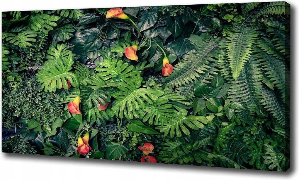 Vászonkép Egzotikus dzsungel 100x70 cm
