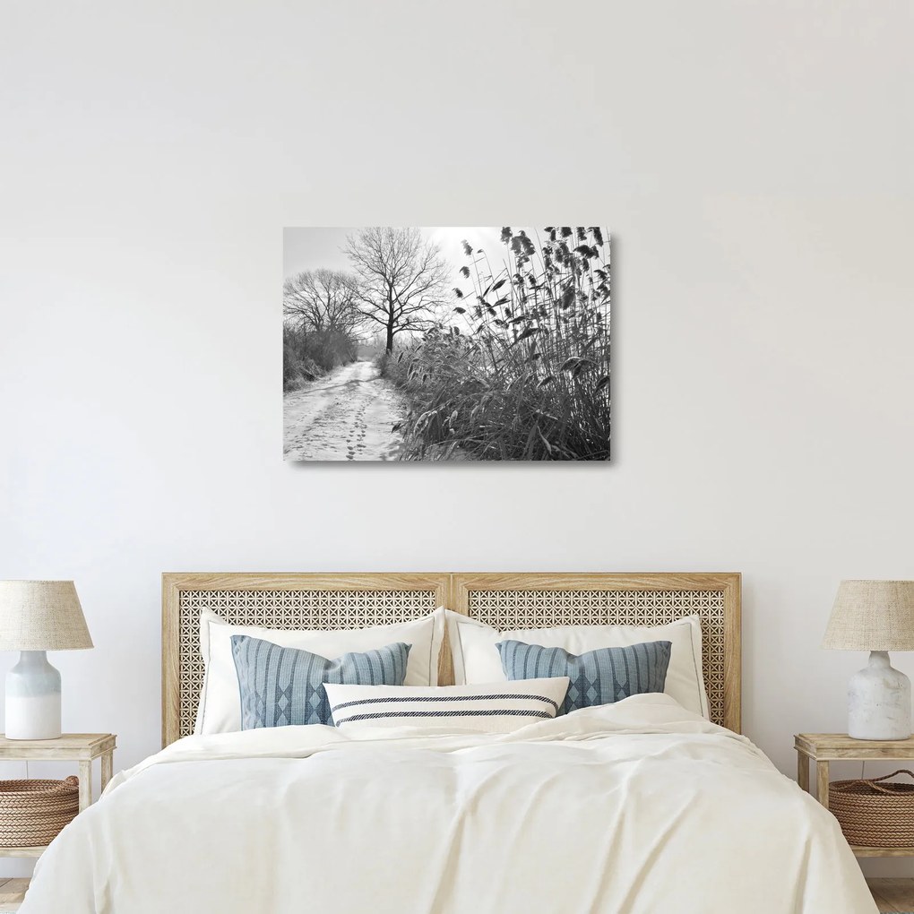Üveg kép - Mezők télen (70x50 cm)