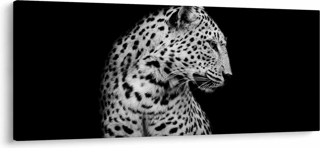 Kép - Leopárd (120x50 cm)