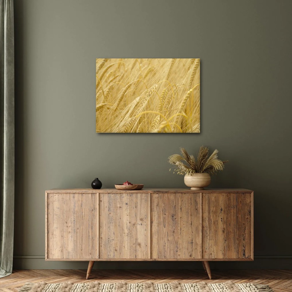 Kép - Árpa (70x50 cm)