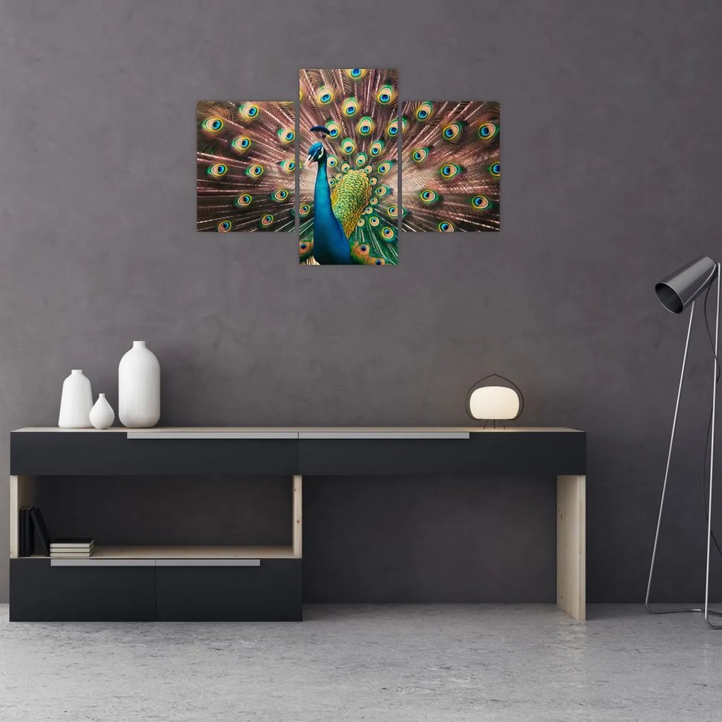 Kép - Páva (90x60 cm)