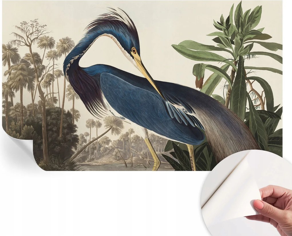 Matt öntapadós fotótapéta Falra Egzotikus természet 416x254 cm