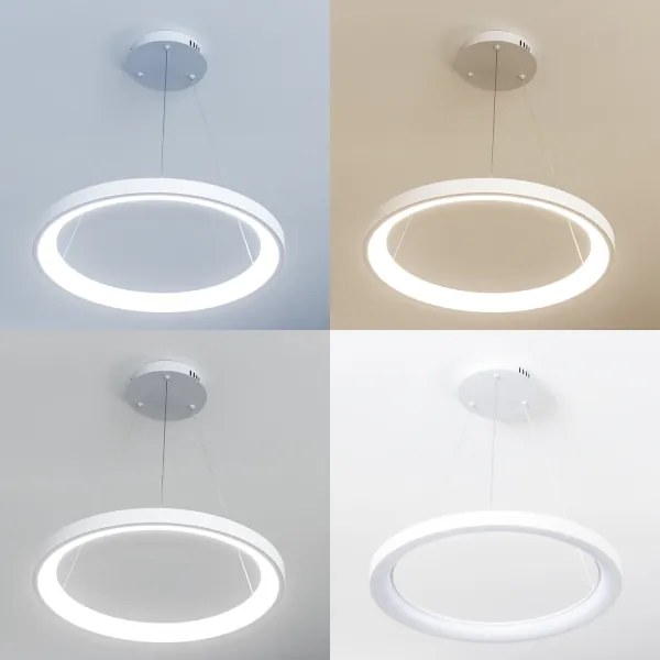 Brilagi - Dimmelhető LED kábeles csillár FALCON SLIM LED/42W/230V átm. 50 cm fehér + távirányító