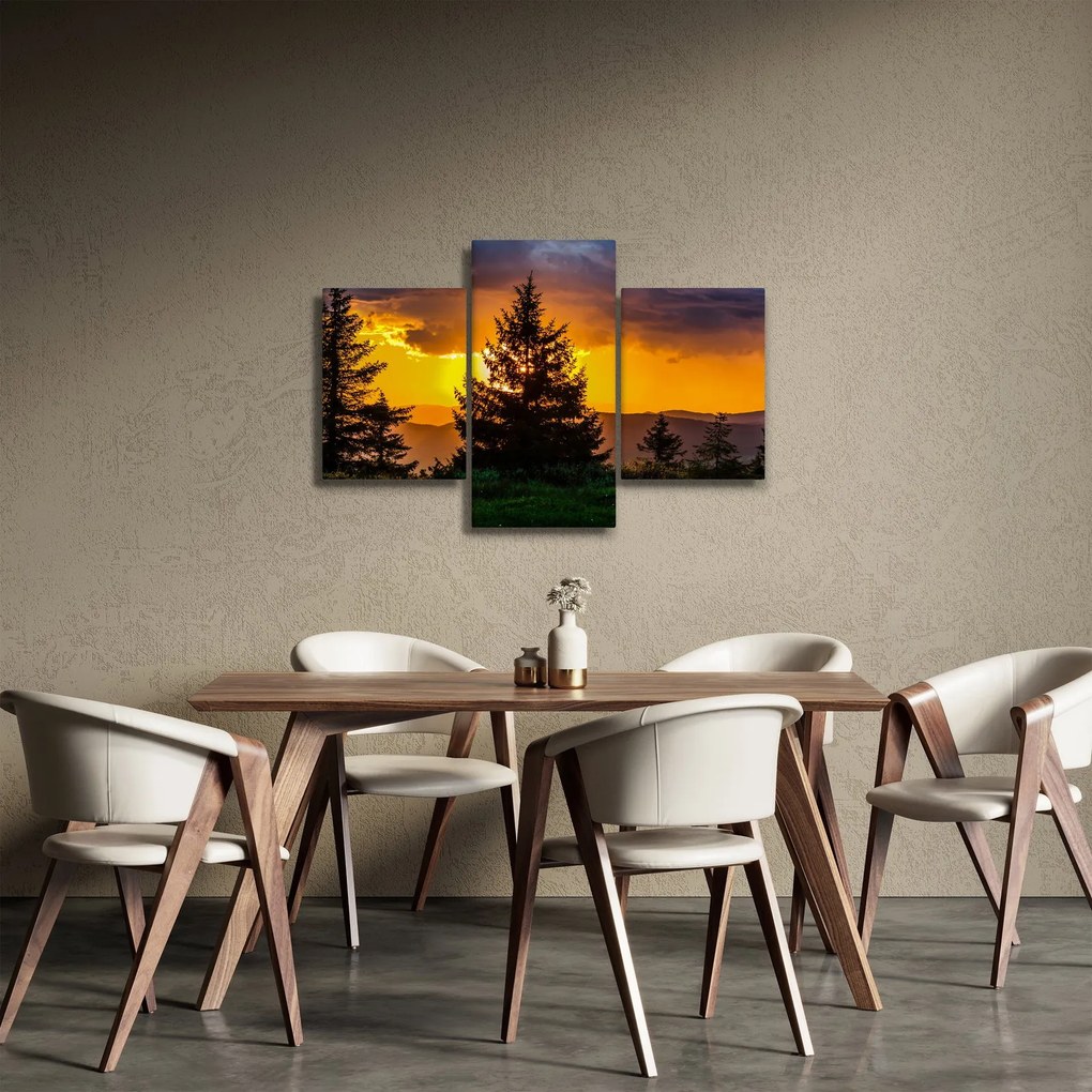 Kép - tűlevelűek (90x60 cm)