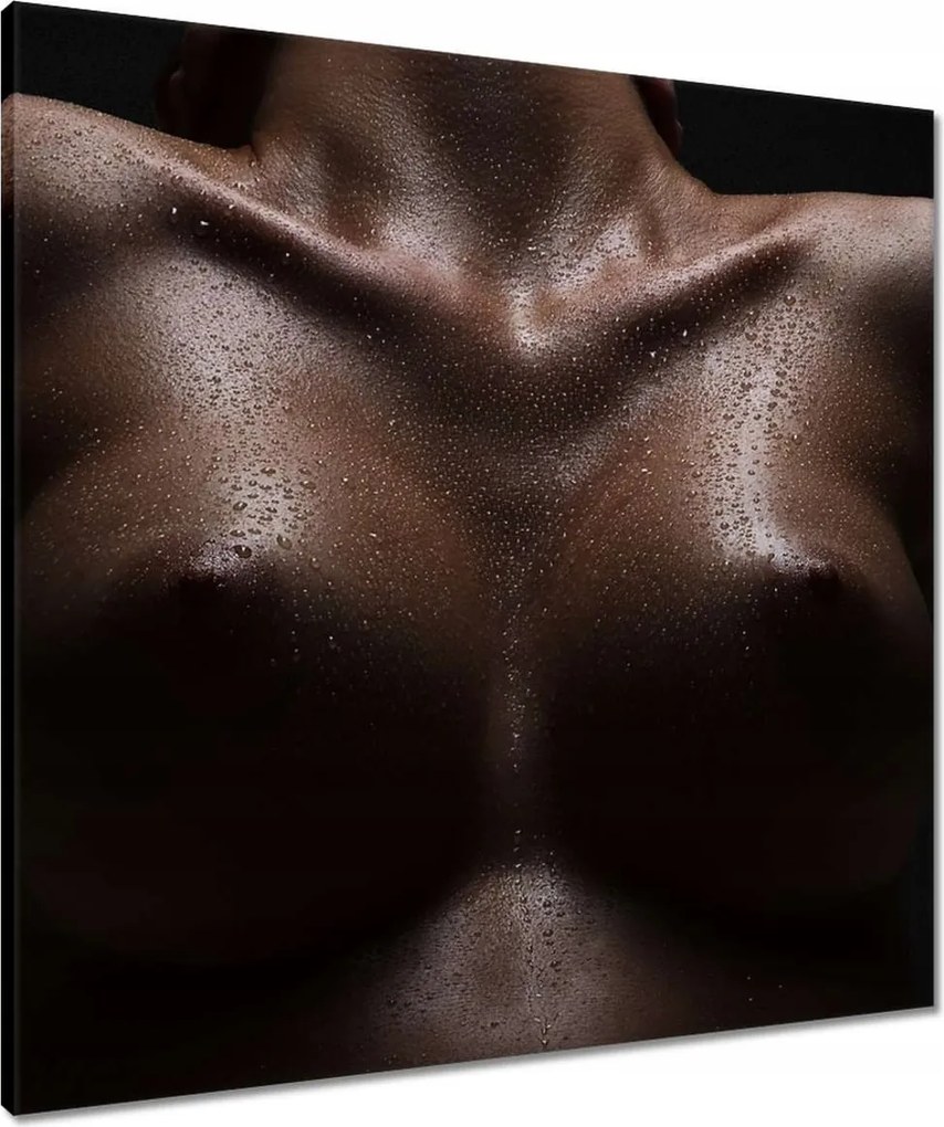 Vászonkép 70x70 Feszes mellek Akt