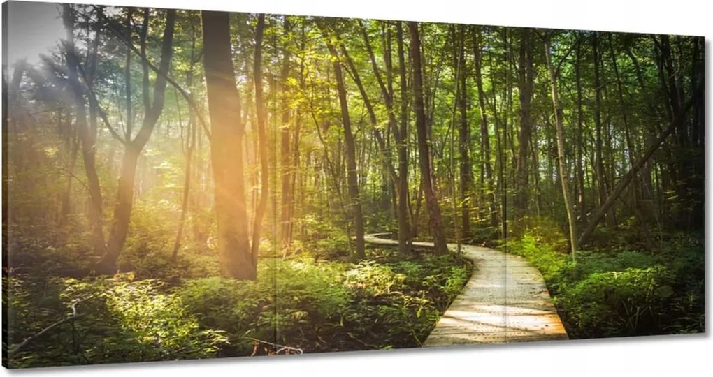 Vászonkép 180x90 Napsugár a sétán