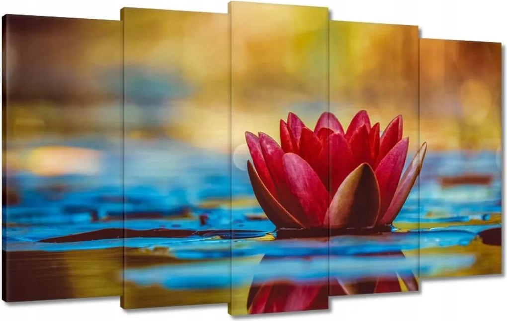 Vászonkép 100x60 Vízi liliom Virág Víz