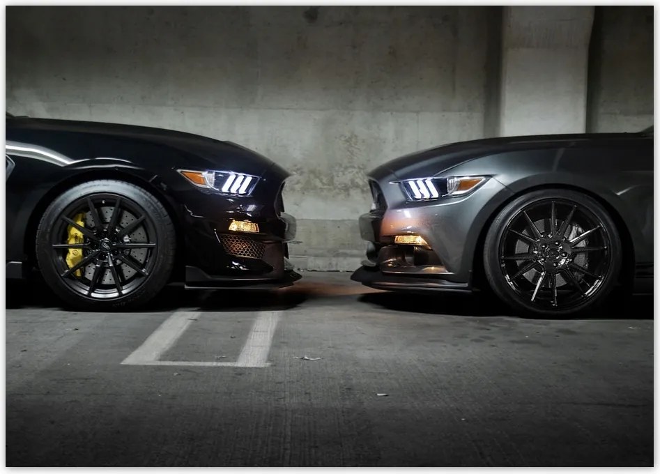 Poszterek 70x50 Face to face Mustang