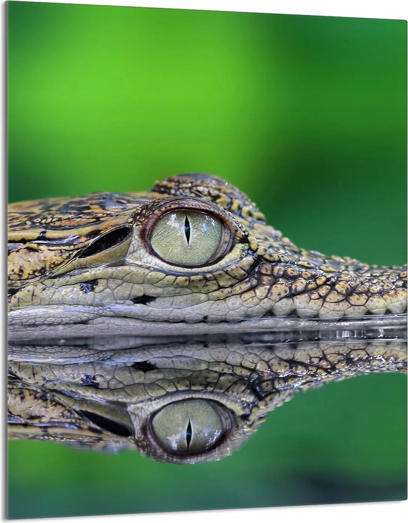 Üveg Vágódeszka 40x52 Krokodil a Konyhába