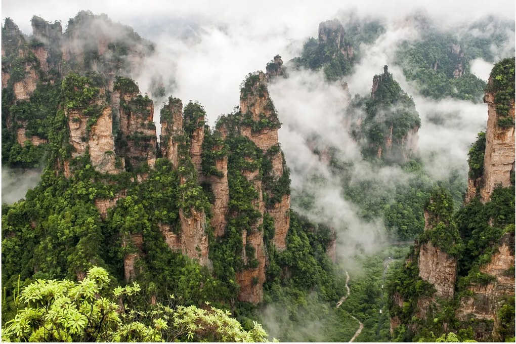 Kép - Zhangjiajie Nemzeti Park, Kína (90x60 cm)