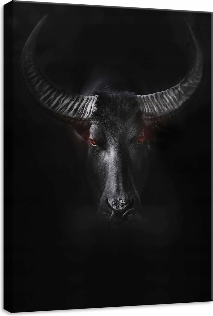 Vászonkép 50x70 Ázsiai bivaly portré közelkép vörös szemek vaddisznó erő