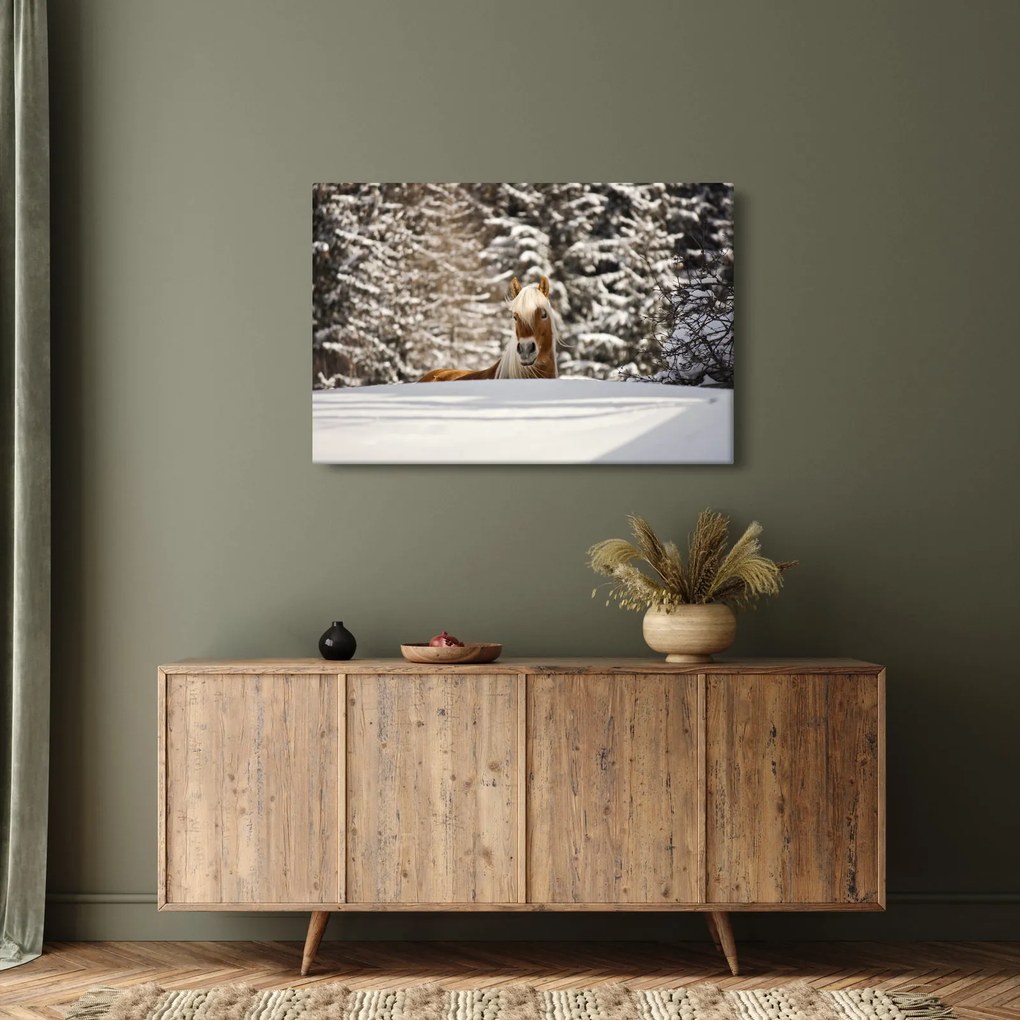 Kép - Ló a téli tájban (90x60 cm)