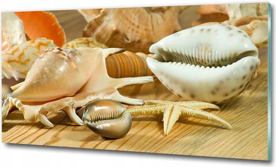 Fotó kép edzett üveg Világtérkép 125x50